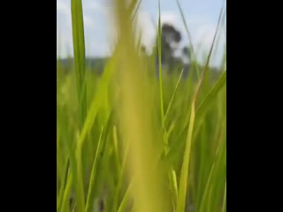 best video by yaya urassaya sperbund яя урассая спербунд best