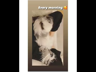 best video by yaya urassaya sperbund яя урассая спербунд best
