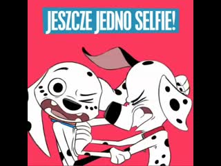 best видео от улица далматинцев101 l 101 dalmatian street best