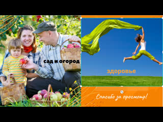best личные истории и любимые продукты best