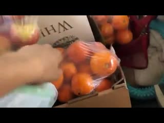 best такой русофобии мир еще не видел проклятая америка best