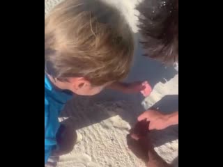 best it seems to me that my family hasnt seen many crabs in their lives ive got to take them to the beach more often mi best