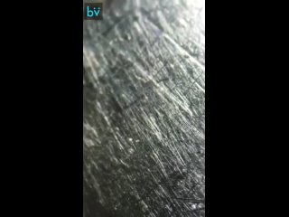 best особо впечатлительных просьба пропустить это видео best