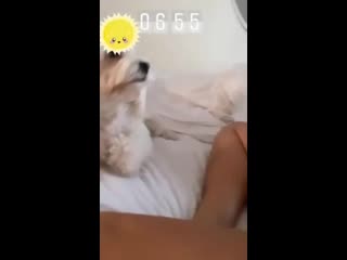 best настя каменских на мгновенье засветилась без трусиков best