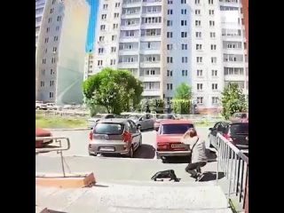 best vid 20210623 120732 865 mp4 best