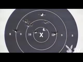 best голые секси женщины стреляют по мишеням очень эротично best