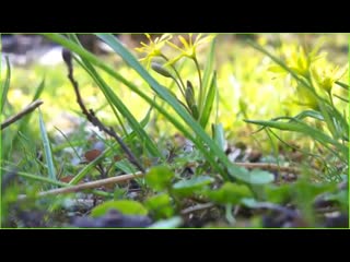 best очень классная подборка музыки и потрясающе красивое видео горячие супер нов best