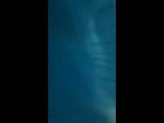 best vid 20200314 wa0025 mp4 best