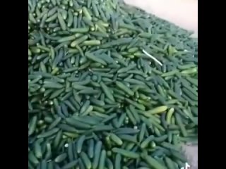 best ого просто скажите такого соседа взять я бы тоже хотела такой подарочек получить best