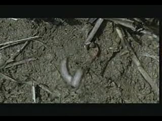 best просто мне лень писать так что буду писать всякую чуш best