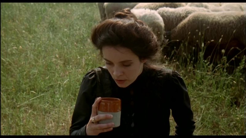 best флореаль пора цветения фиориль пора цветения фиориль дикий цветок fiorile 1993 hq best