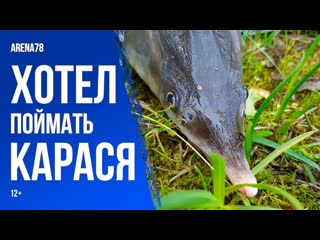 best хотел поймать карася но попалась стерлядь 12 best