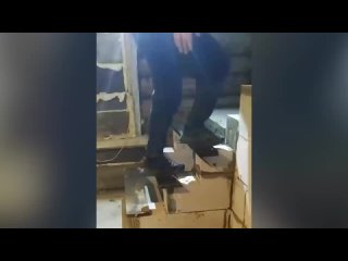 best смехотерапия тест на психику 690 секунд смехалучшие приколы за ноябрь 2021 ржакапопробуй не смейсяbest coub best