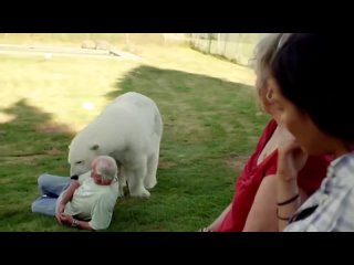 best теперь вы знаете шимпанзе убийца домашний любимчик который молодыесвою хозяйку best