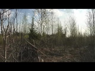 best в любой момент могли спалить но она продолжала best