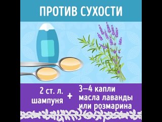 best 8 способов сделать шампунь как часто ты моешь голову best
