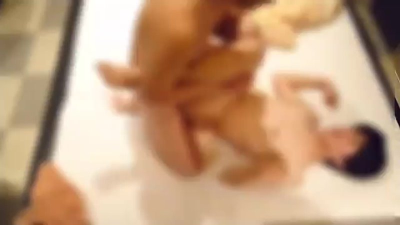 best img 20210929 090710 178 mp4 best