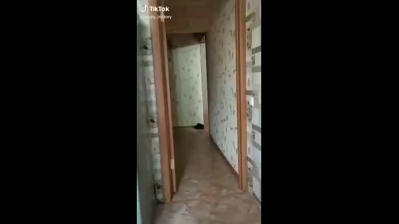 best https com video ext php oid 172668209id456245589hashd0eed21d3549497c ref androidapi best