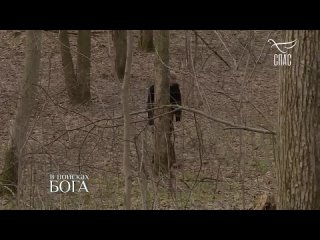 best путь и истина и жизнь в поисках бога через астрал и встречу с бесами опасный путь к богу известного режиссера best