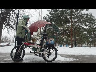 best lisapedova обзор складного велосипеда tern link d8 best