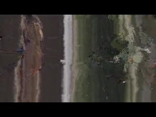 best и волки сыты красивый секс домашнее порно частная эротика вечная память best