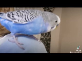 best скукотищщща smile heart eyes вспомнилось февральское видео blush hd mp4 best