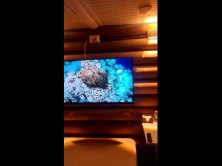 best live примавера баня с бассейном верхняя курья пермь best