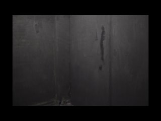 best дом волка the wolf house 2018 чили драма сюрреализм поток сознания ужасы мультфильм для взрослых best