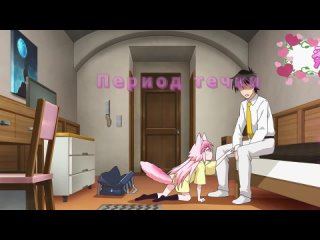 best zms vr000w течка у кошкодевочки best