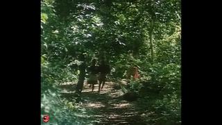 best тарзан x позор джейн tarzan x shame of jane 1995 порно фильм best