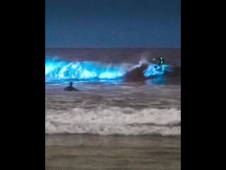 best в сан диего есть пляж где вода и песок в определённые дни излучают яркое синее свечение ролик с ним набрал best
