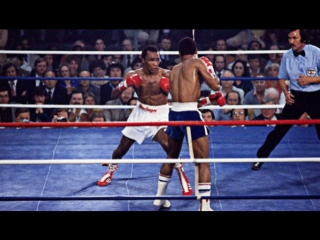 best шугар рэй леонард уилфред бенитес sugar ray leonard wilfred benitez best