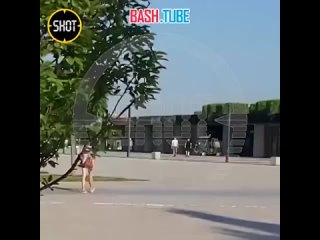 best абсолютно голая особа была замечена там в парке галицкого в краснодаре best