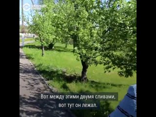 best ну он же не сам туда поехал его отправили я живу в россии я стою на стороне россии я не знаю кто на кого напал best