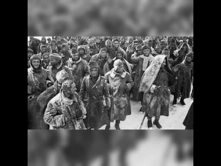 best немецкие и итальянские военнопленные после поражения под сталинградом ссср best
