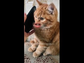 best это я говорю подружке когда после вечеринки она сильно напилась best