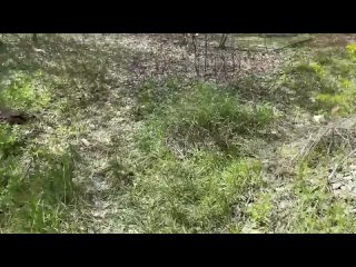 best сучка в черных лосинах согласилась потрахаться в заброшке найди себе шалаву для быстрого секса здесь best