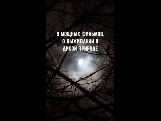best 9 мощных фильмов о выживании в дикой природе подборка фильмов и сериалов best