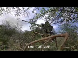 best боевая работа морпехов тоф в честь их профессионального праздника best