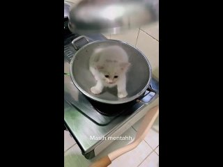 best 为了留住公司的股东们社长送出了自己最得意的美女秘书作为他们的内射玩物一个小穴插入两根鸡巴 img 0436 best