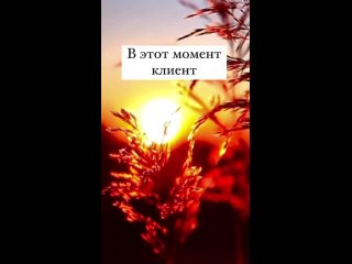 best видео от лазерная эпиляция армавир депиляция cactus kity best