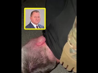 best юрий подоляка в моих родных сумах задержали мэра за взятку best
