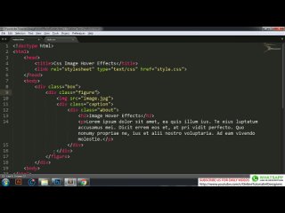 best css image hover effects 6 zoom in zoom out hover effects cool css hover effects tutorial best