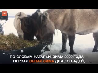 best как выживают люди и лошади на берегу белого моря best