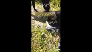 best поймали закладчицу и её парня best
