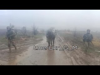 best командование всу не стремится применять дорогостоящую зарубежную технику для перемещения личного состава best