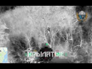 best артемовское направление два шикарных страйка от нашего оператора best