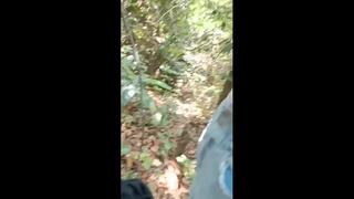 best brazzer dihutan mp4 best