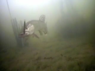 best щука клюет блесну 1 подводные съемки весь фильм ссылка в описании на 1 17 сек best