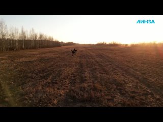 best жизнь с секс куклой психическое отклонение или альтернатива реальным отношениям best